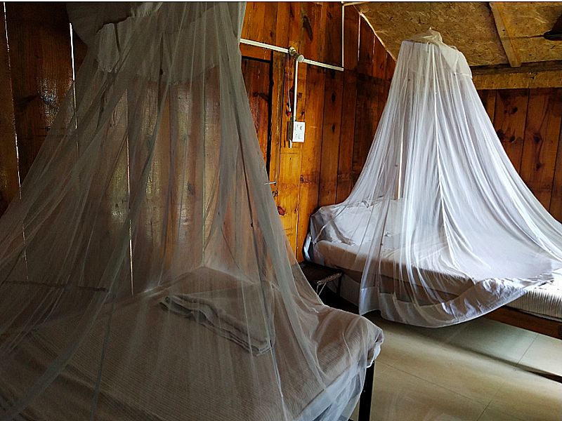 Papillon Beach Huts Palolem Family Sea View Room 2