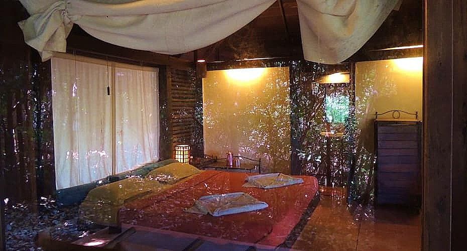 room with forest view