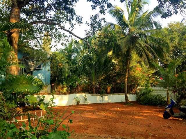 ground view