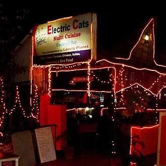 undefined Electric Cats