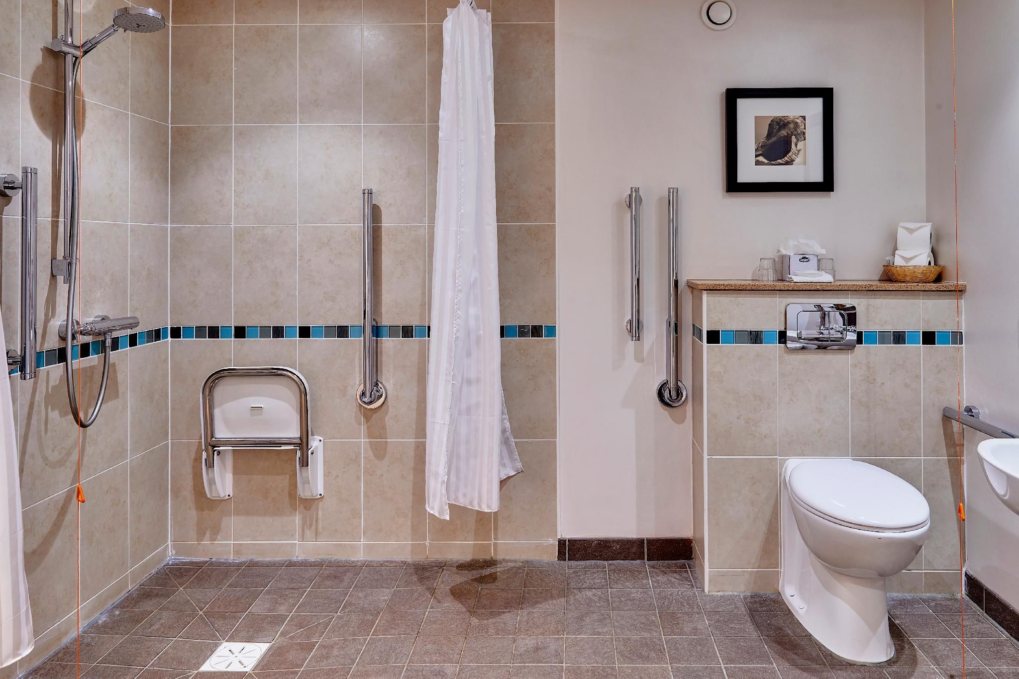 1 King Bed Studio Suite Accessible