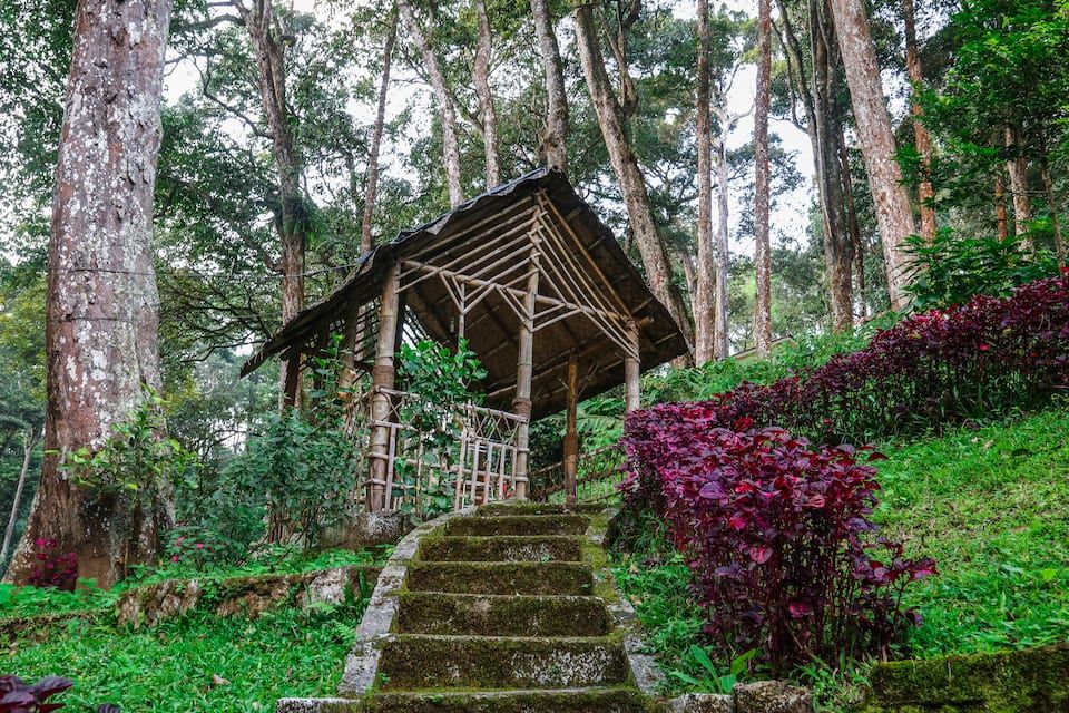 undefined Woodpecker Resort 10