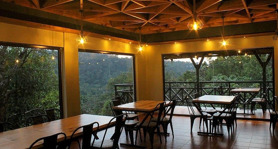 undefined The Wild Trails Clarks Exotica, Munnar 4