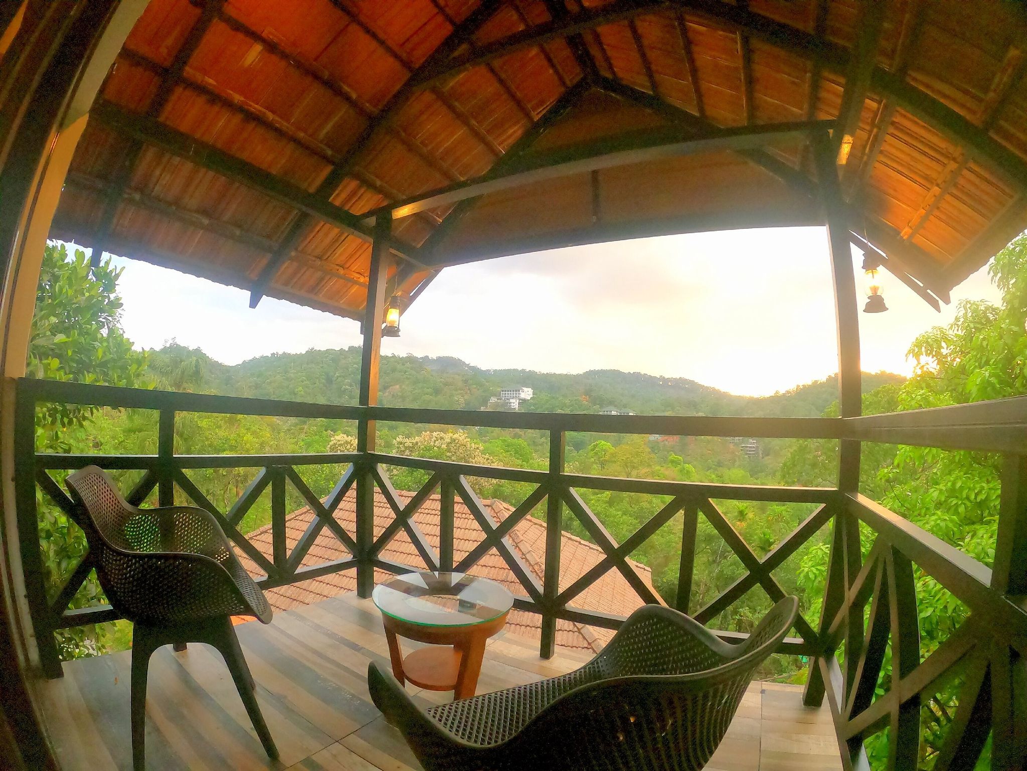 Premium Forest View Cottage with Balcony