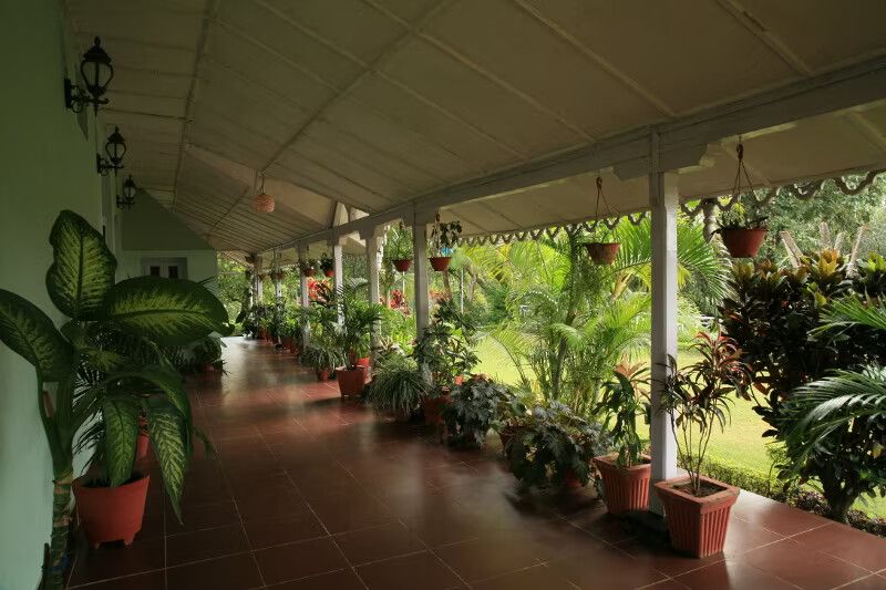 undefined MPT Satpura Retreat, Pachmarhi 3