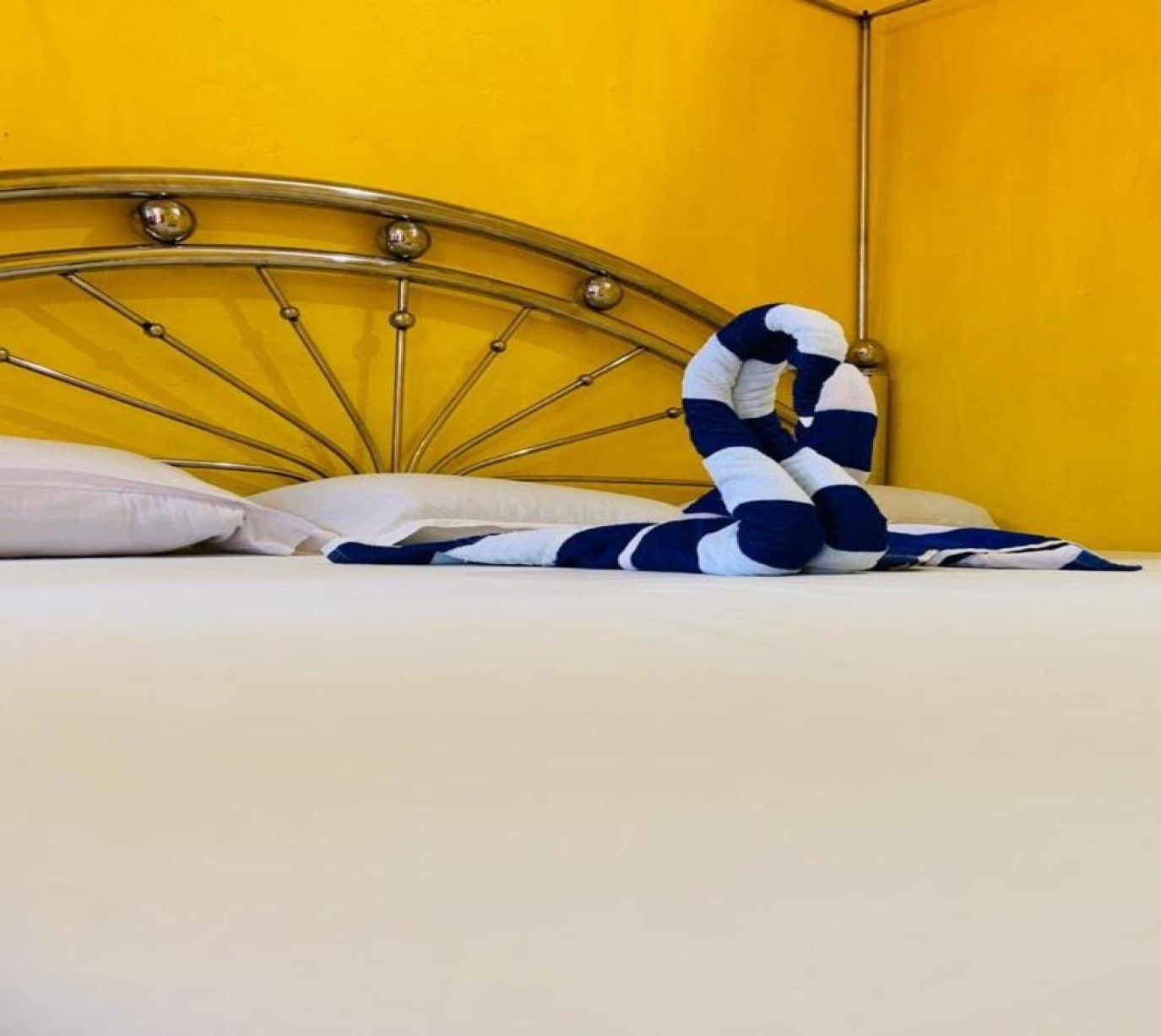 Dreamland Resort Standard Non AC Room