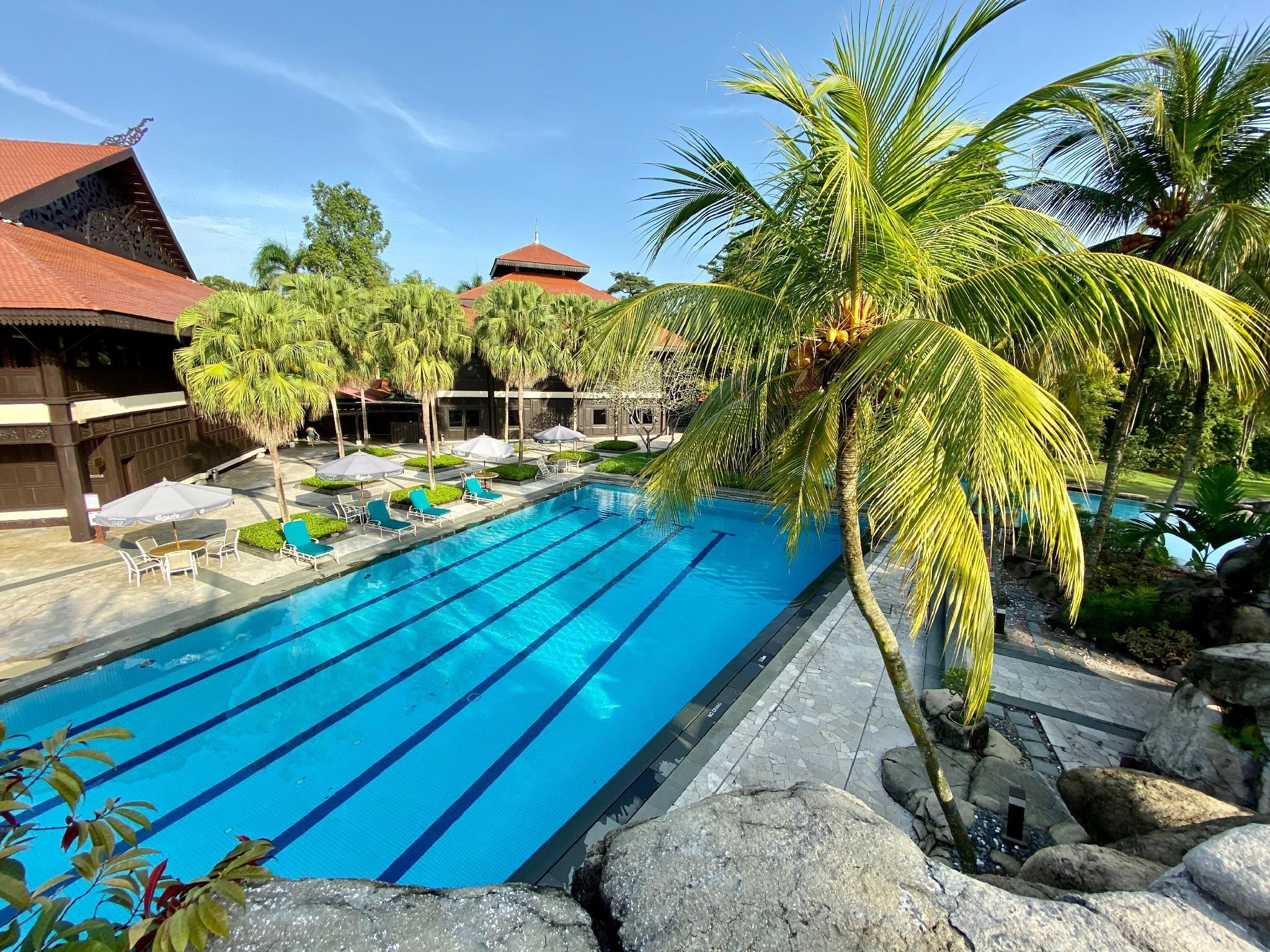 swimming pool [outdoor]