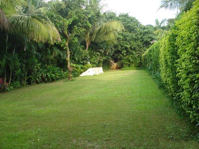 undefined Exotica The Beach Resort 3
