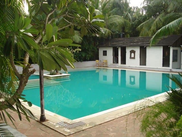 undefined Exotica The Beach Resort 5
