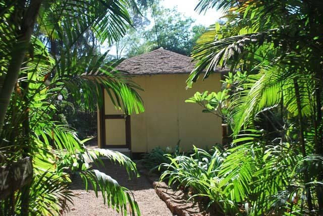 undefined Exotica The Beach Resort 7