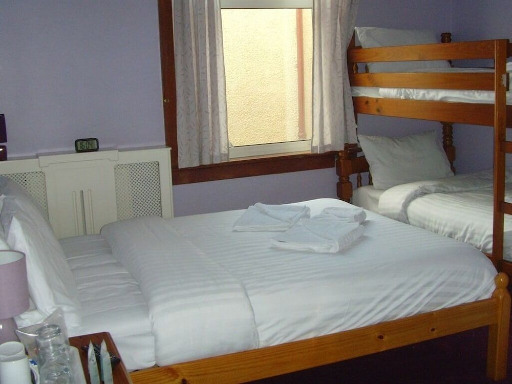 undefined Twin Lions Hotel 4