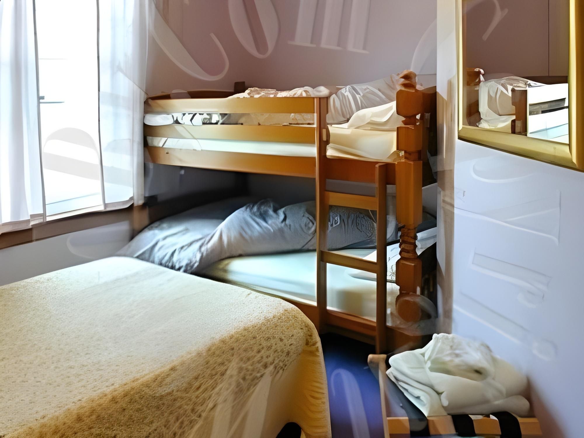 undefined Twin Lions Hotel 4