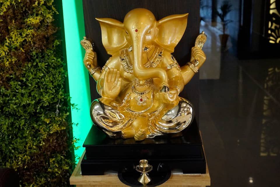 undefined Golden Tulip 5