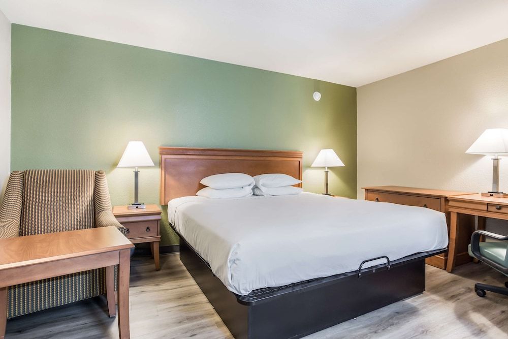 Room, 1 King Bed, Non Smoking