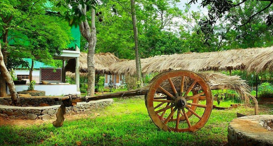 undefined Green Gram Wellness Village 6