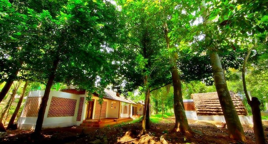 undefined Green Gram Wellness Village 10