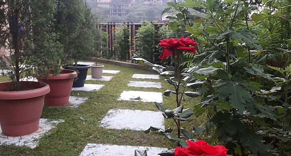 undefined Cedar Villa 2