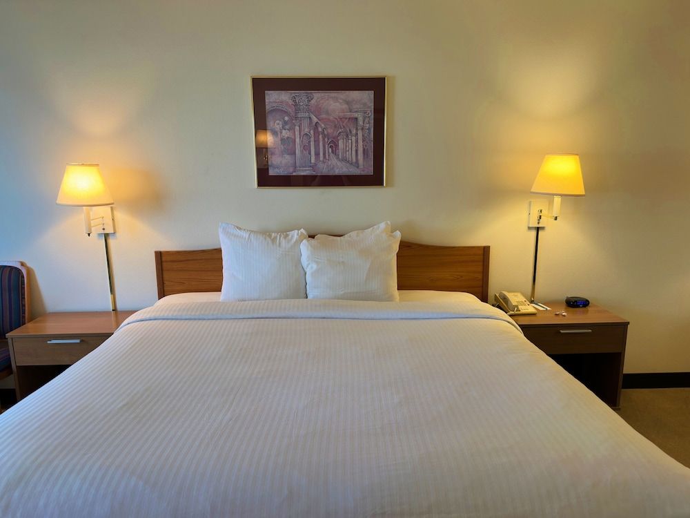 Peppermill Empress Inn Standard Single Room, 1 King Bed, Non Smoking 3
