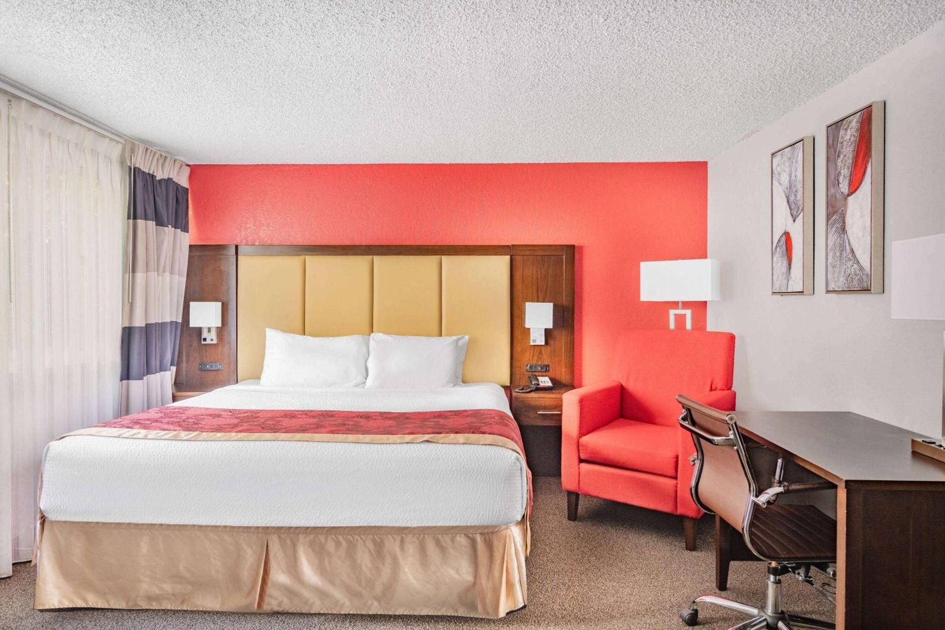 1 King Bed Non-Smoking Room