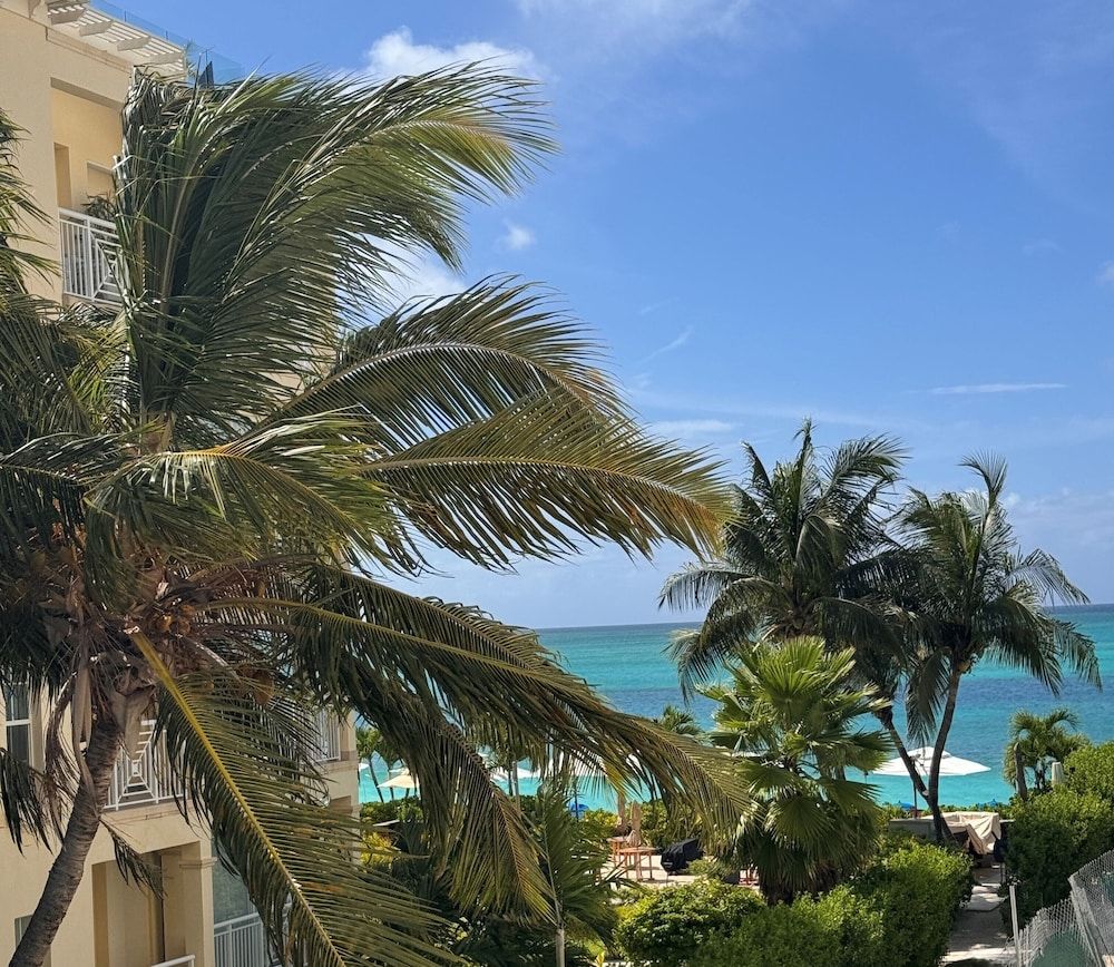 Windsong on the Reef