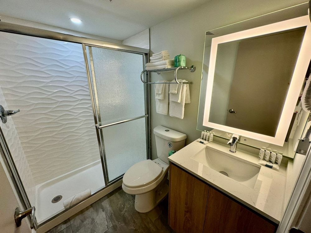 Nova Inn Resort Suite, 1 King Bed with Sofa bed 3