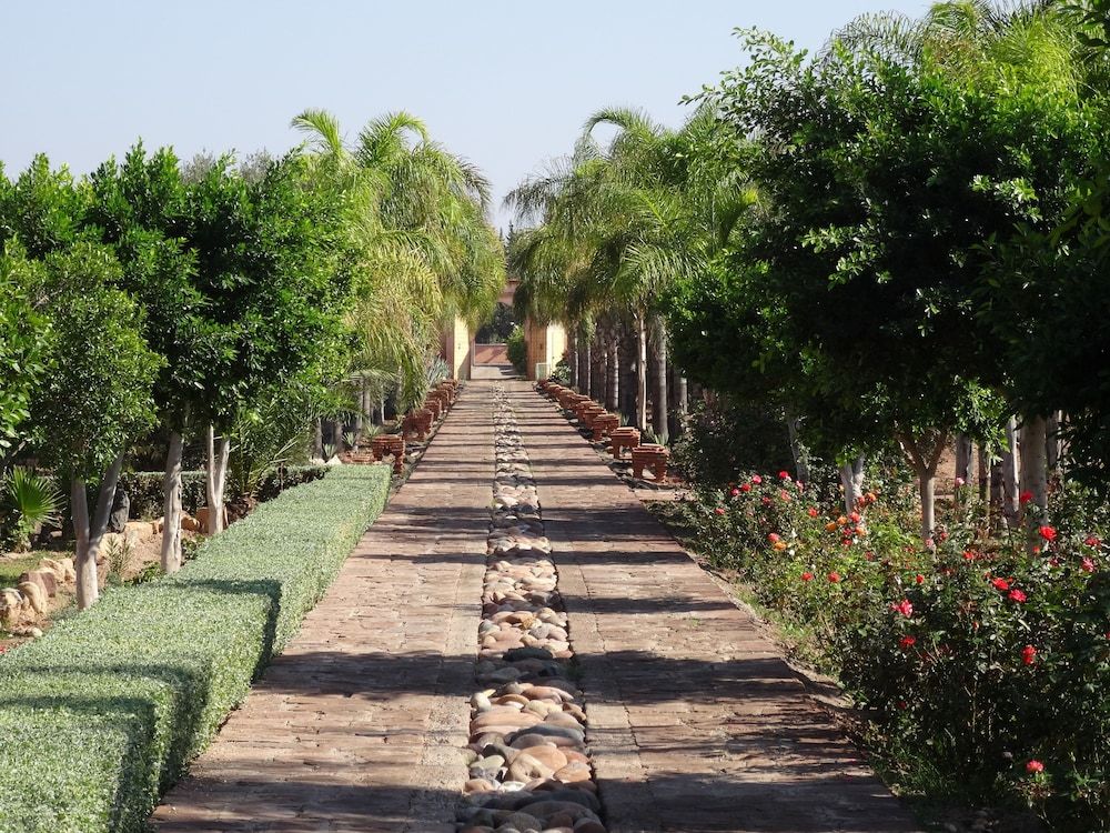 undefined Terra Mia Marrakech - Riad 5