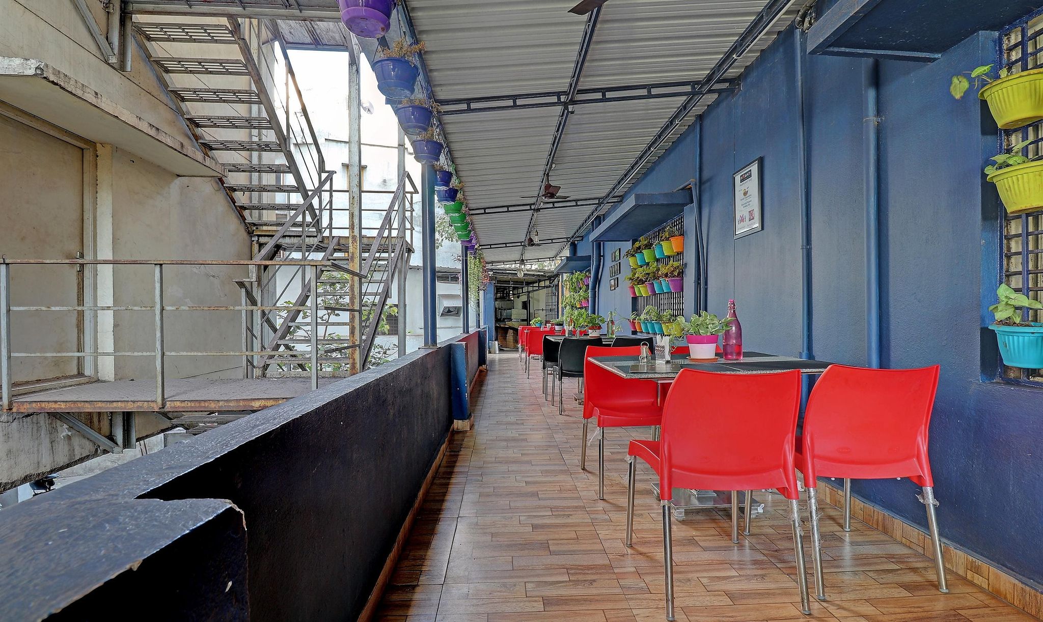 undefined Treebo Green Tree 4