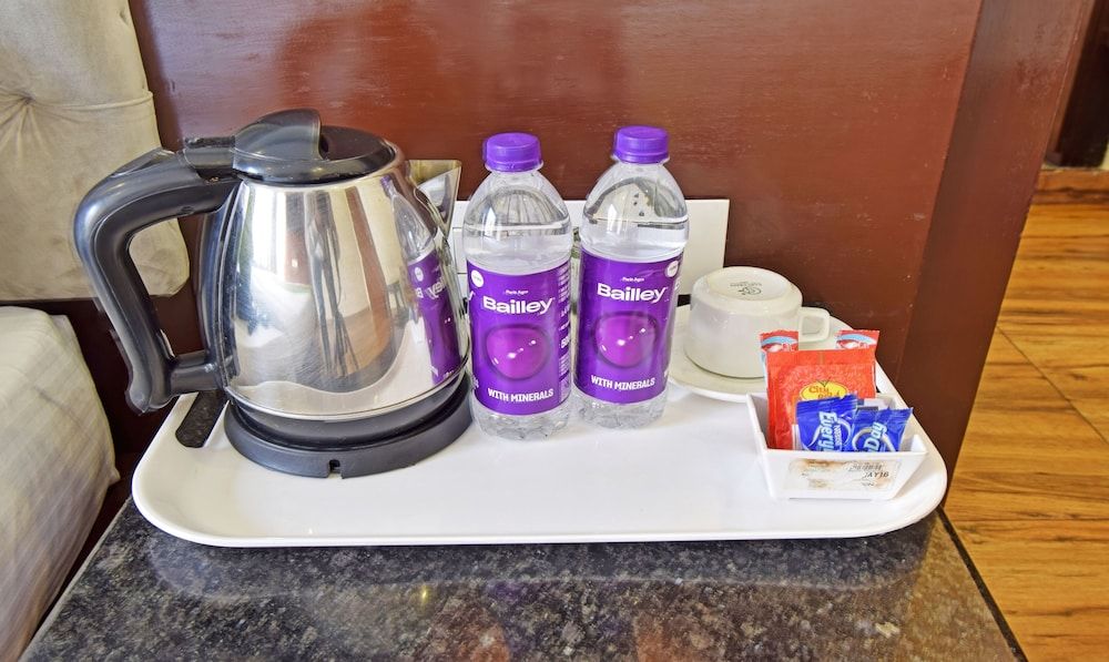 Treebo Sky Point Standard Double Room 12