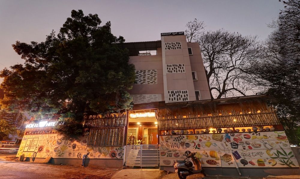 undefined Treebo White Inn Koramangala 6