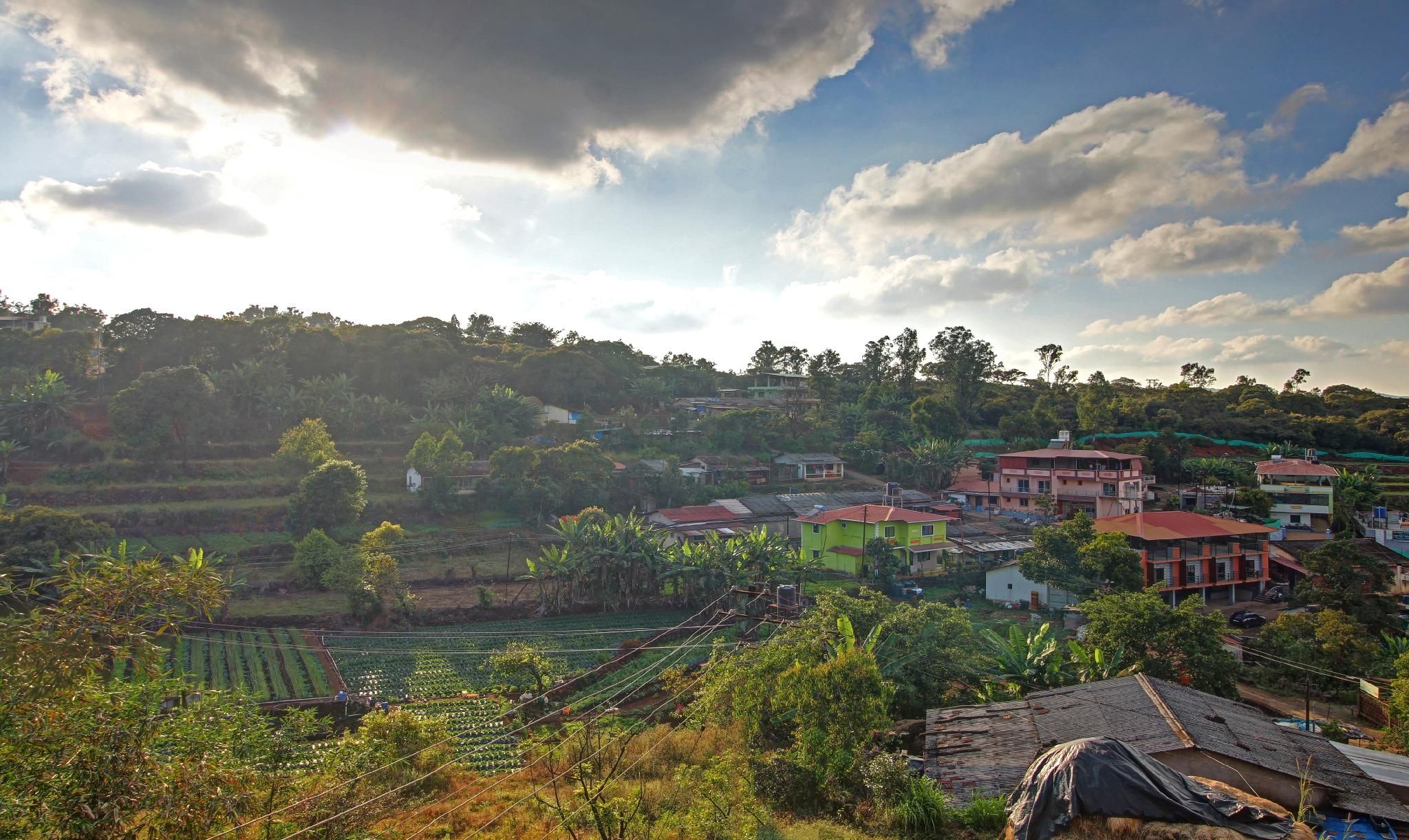 View