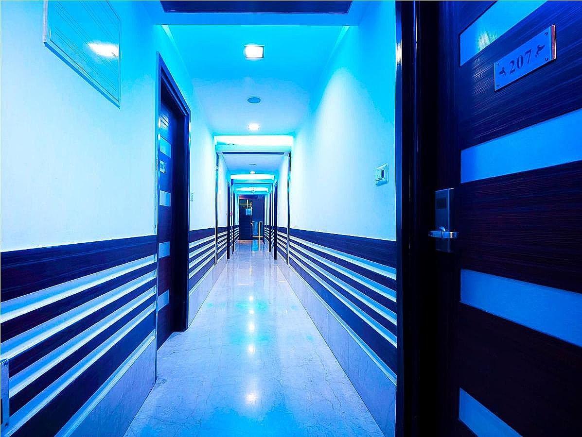 undefined Amaltas International 5