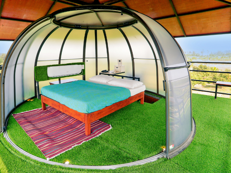 Igloo
