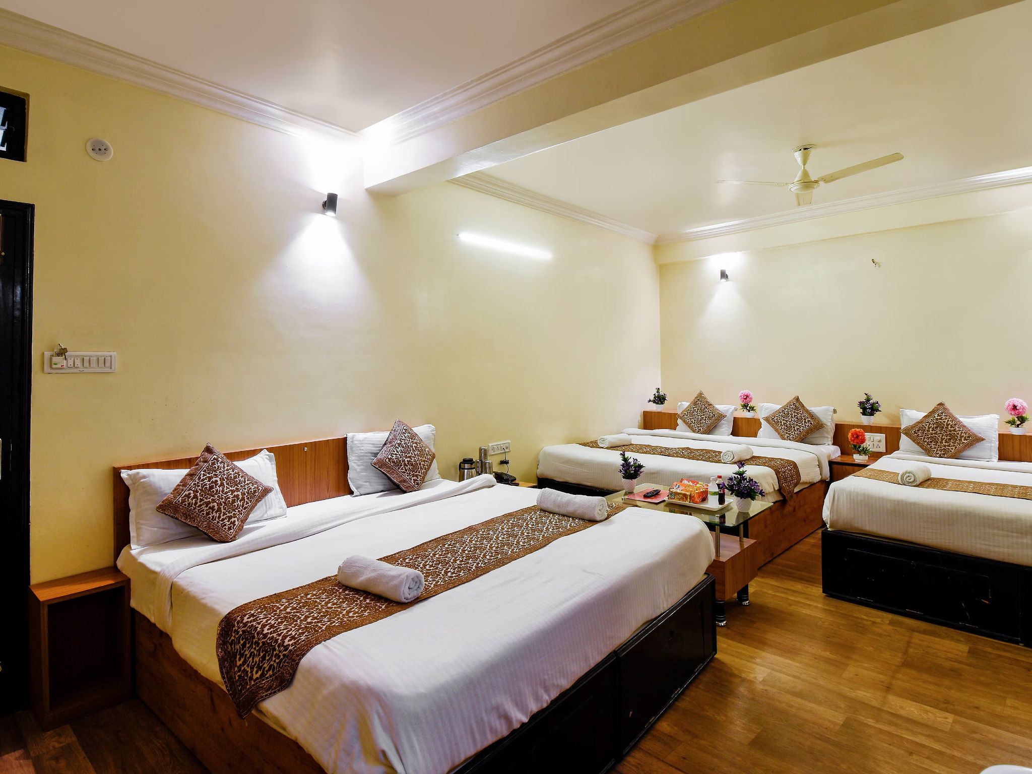 image_3973819_feb019e2-11e2-43b8-bfa5-90605c5f52f9