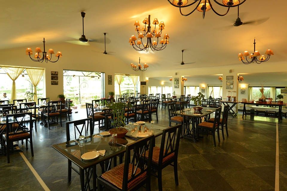 Food & Dining