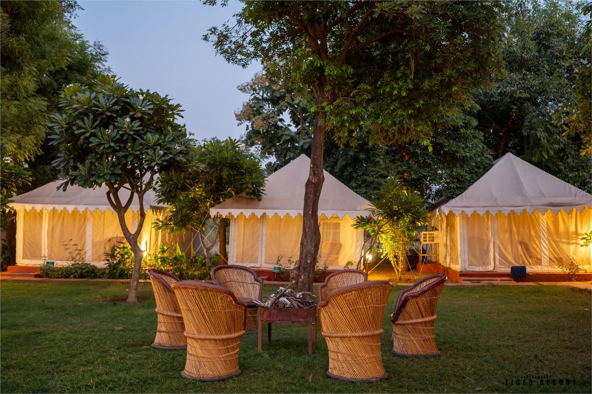 undefined Ranthambore Tiger Resort 3