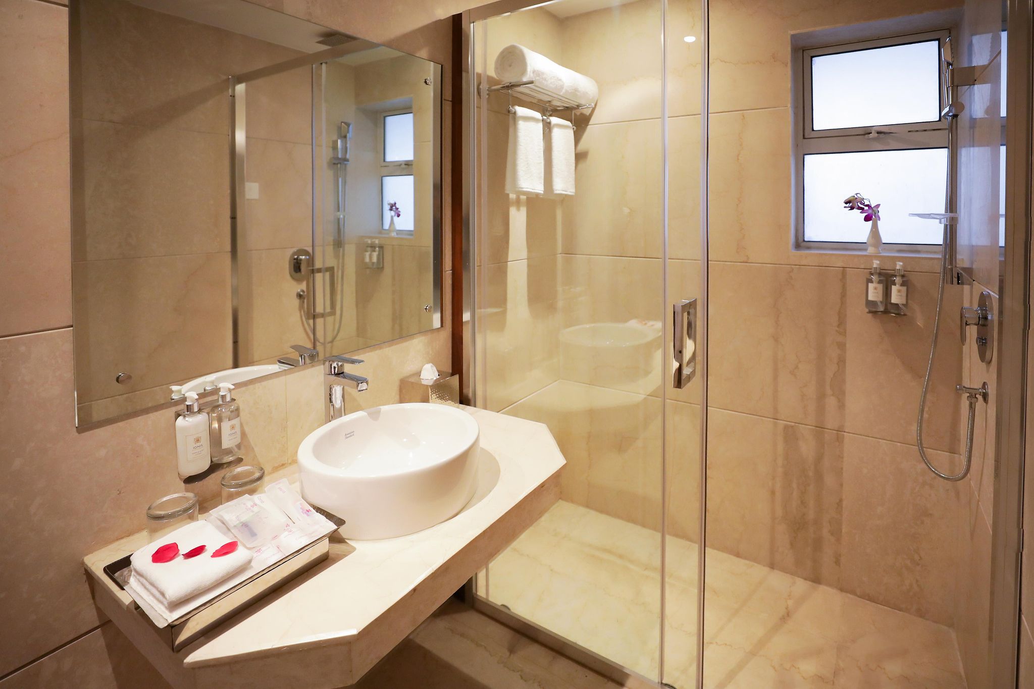 Premium Suite with Terrace