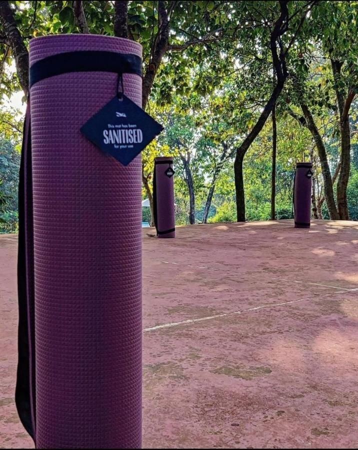 Outdoors