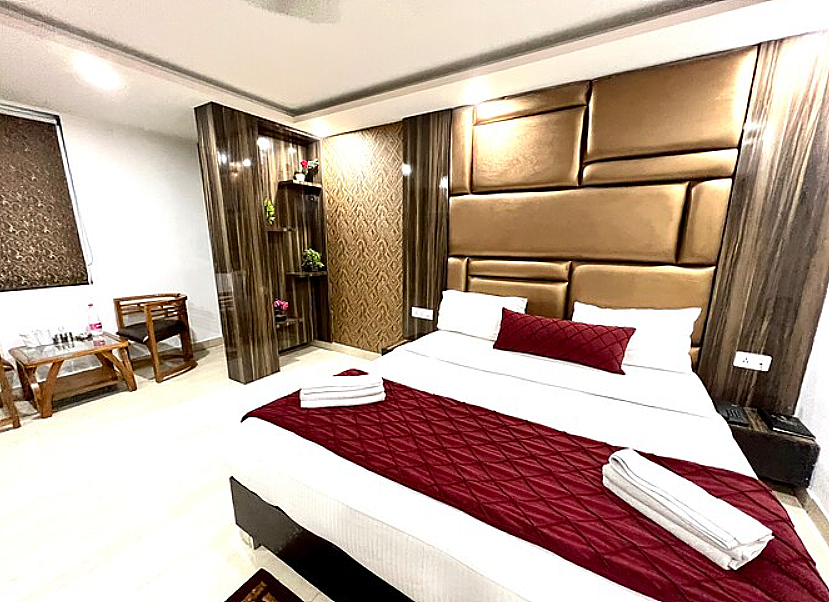 Hotel Royal Inn IGI Airport Luxury Suite with City View 2