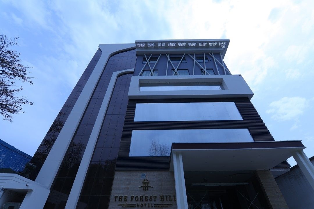 undefined The Forest Hill 6