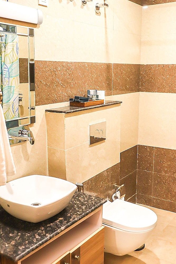 Hotel Royal Palm Deluxe Twin Room 12