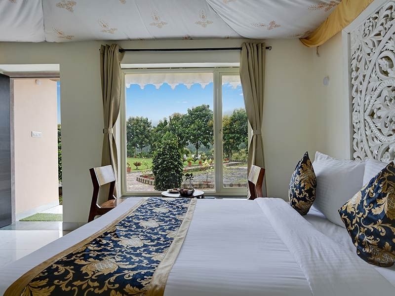 image_3974284_871e4196-fdfb-46e2-ad9b-a70c5308c7db_proc