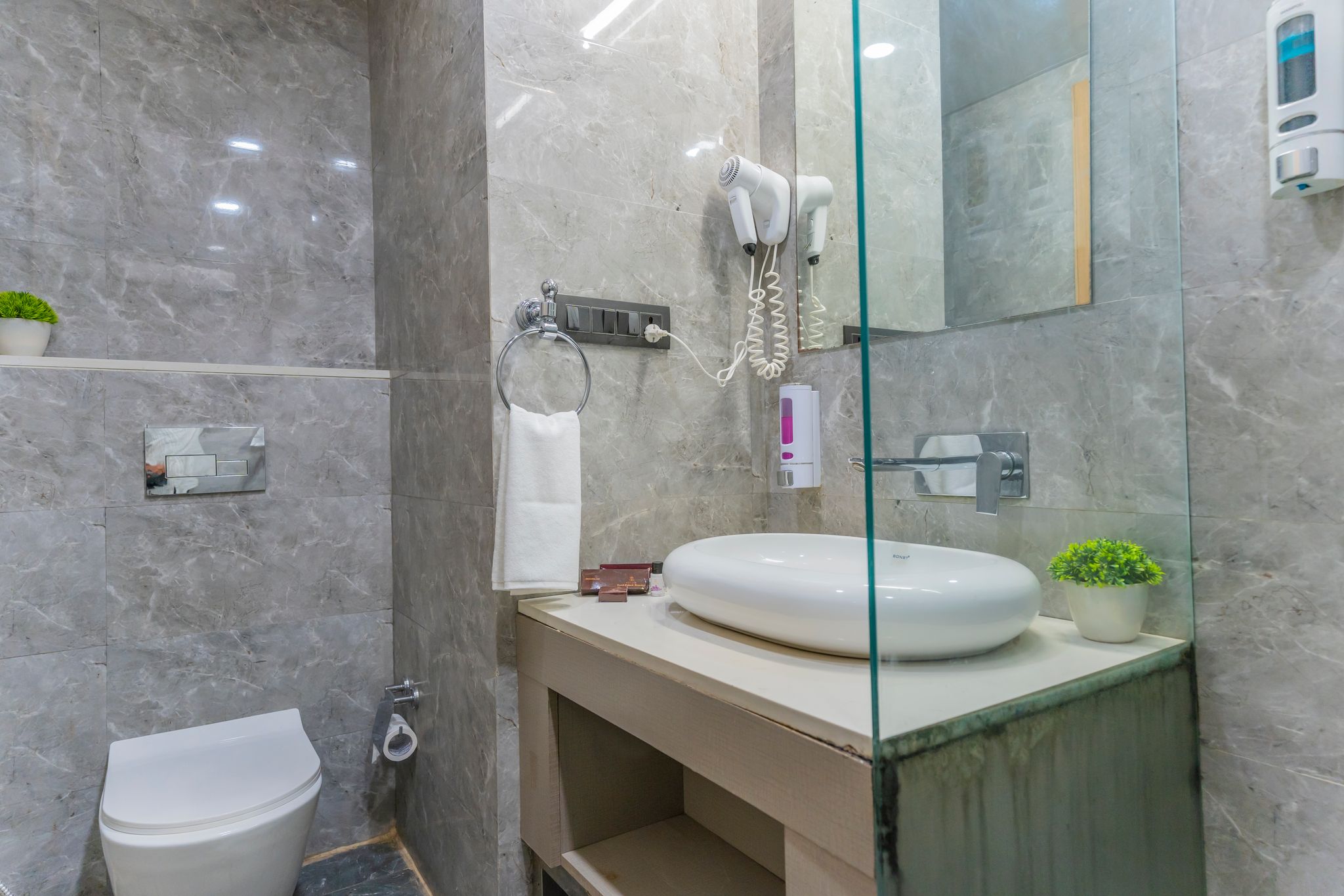 Hotel Palash Regency Deluxe Double Room 11