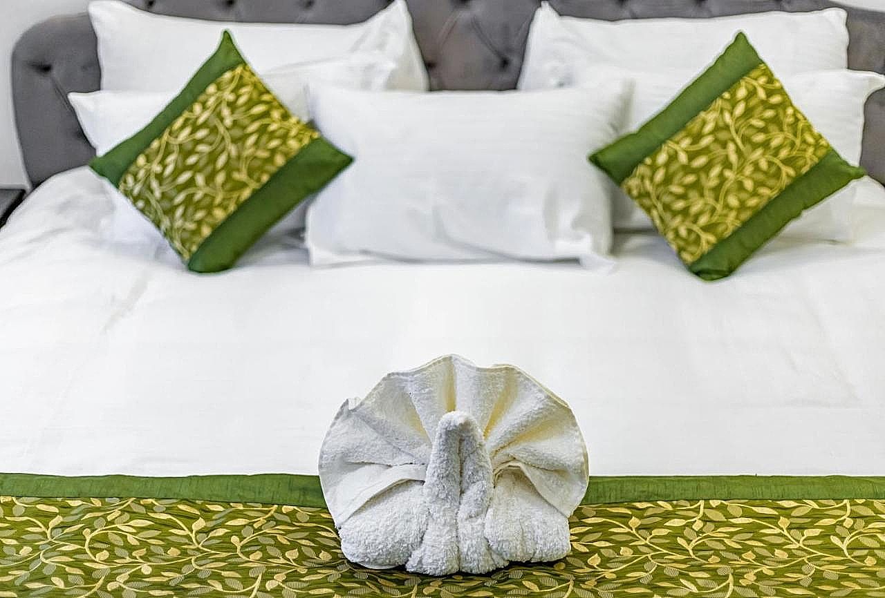 Hotel Mayur Vihar Deluxe Double Room 8