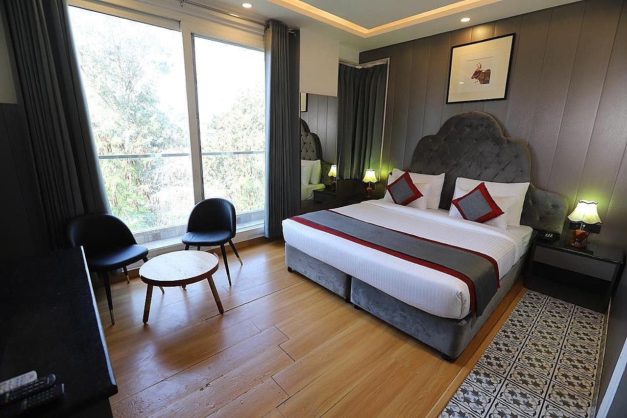 Hotel Mayur Vihar Deluxe Double Room 21