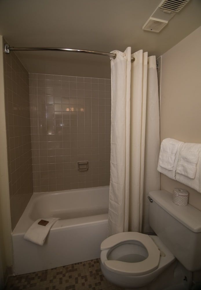 Comfort Double Room, Ensuite (King LV)