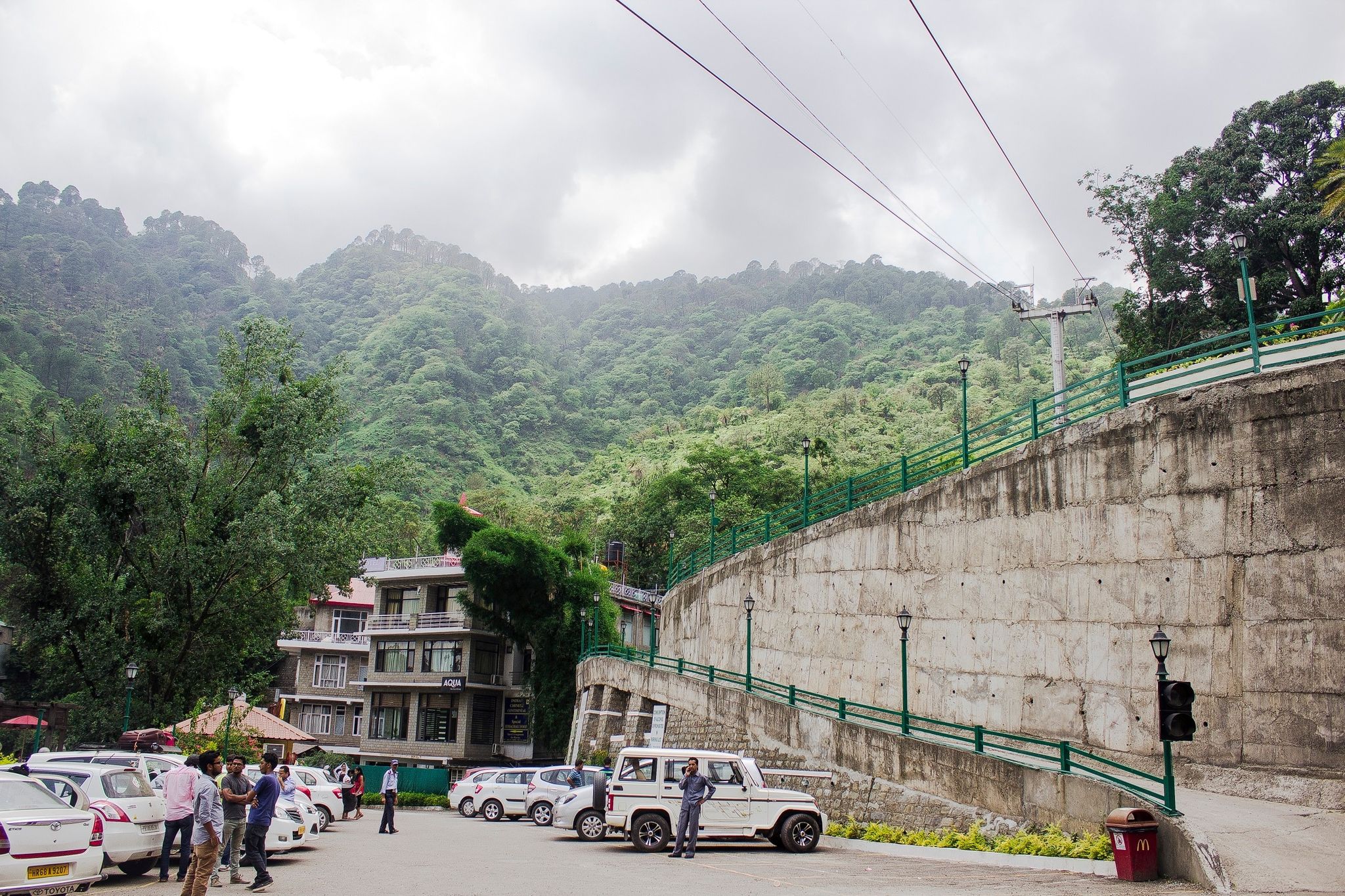 undefined Savoy Greens 6