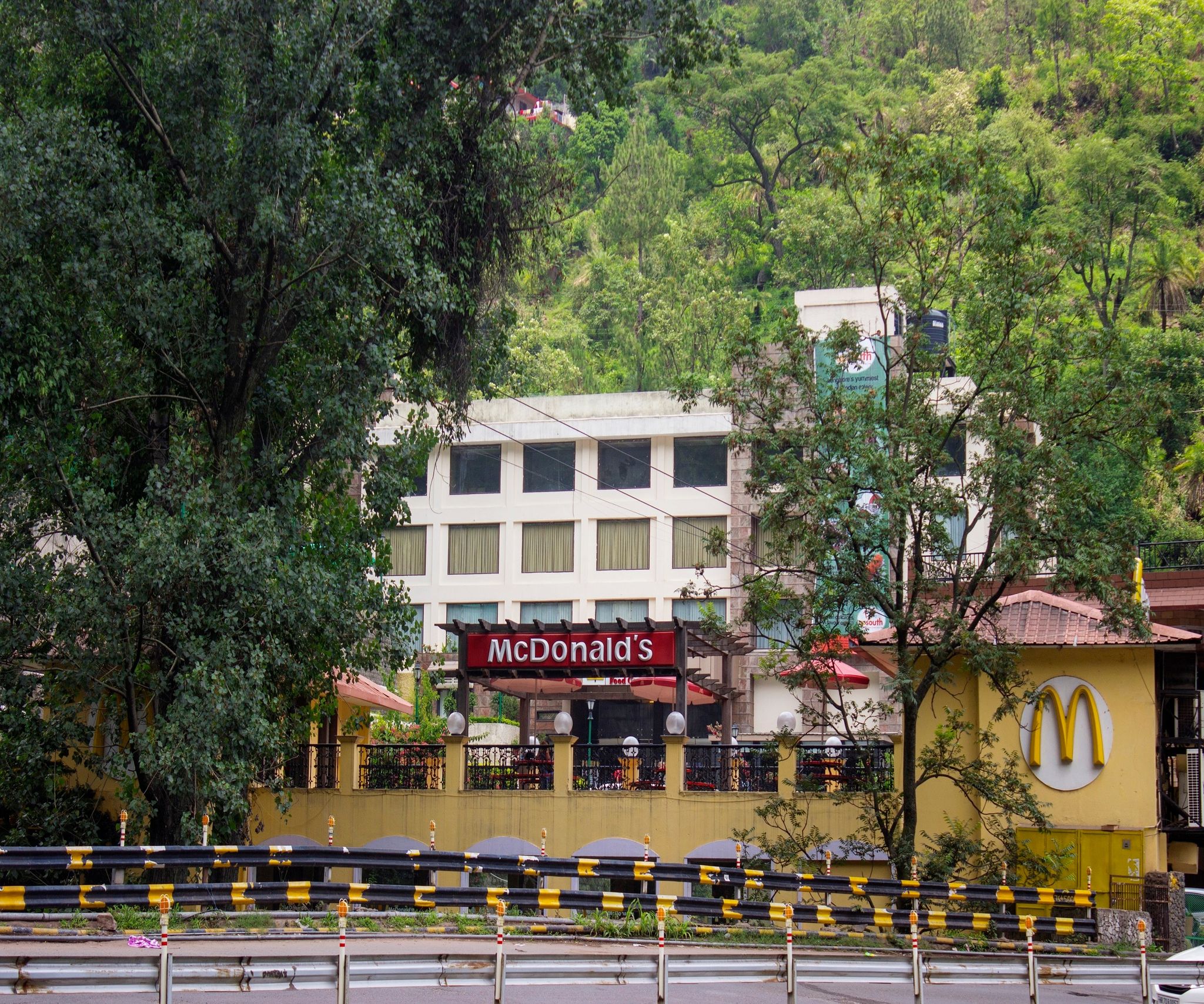 undefined Savoy Greens 7