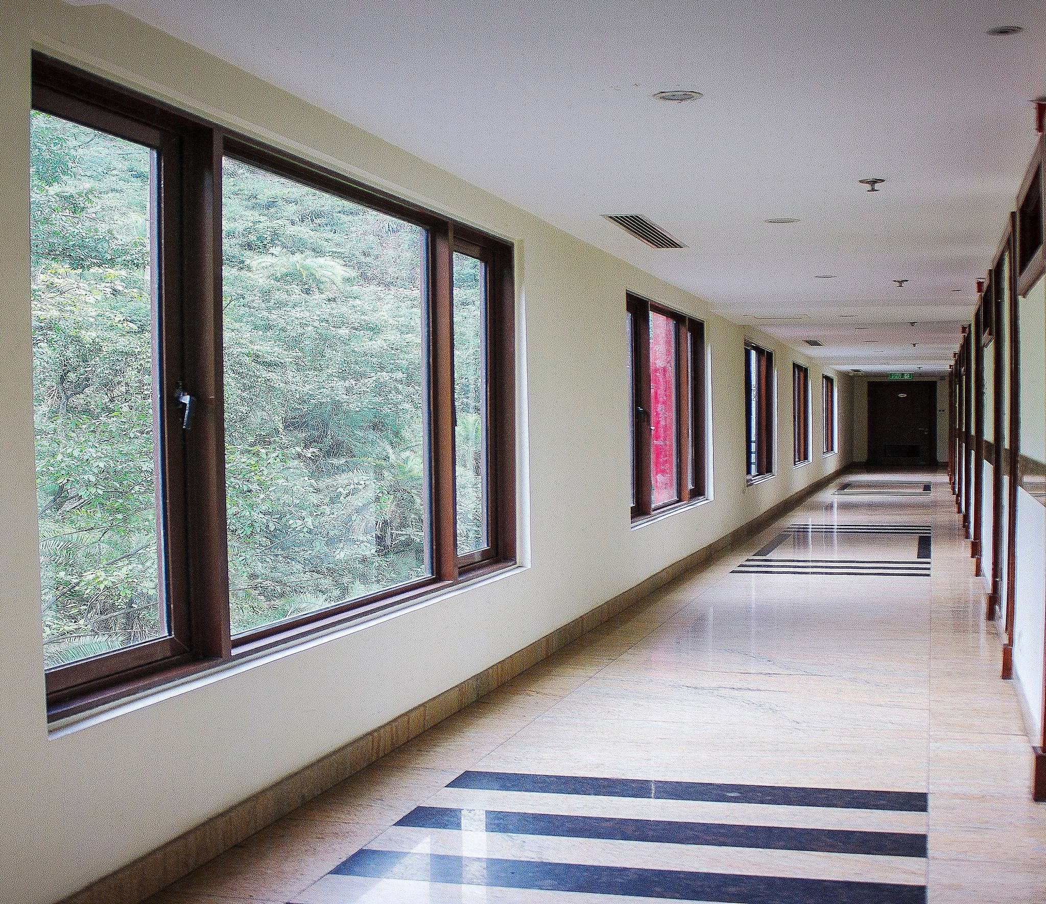 undefined Savoy Greens 4