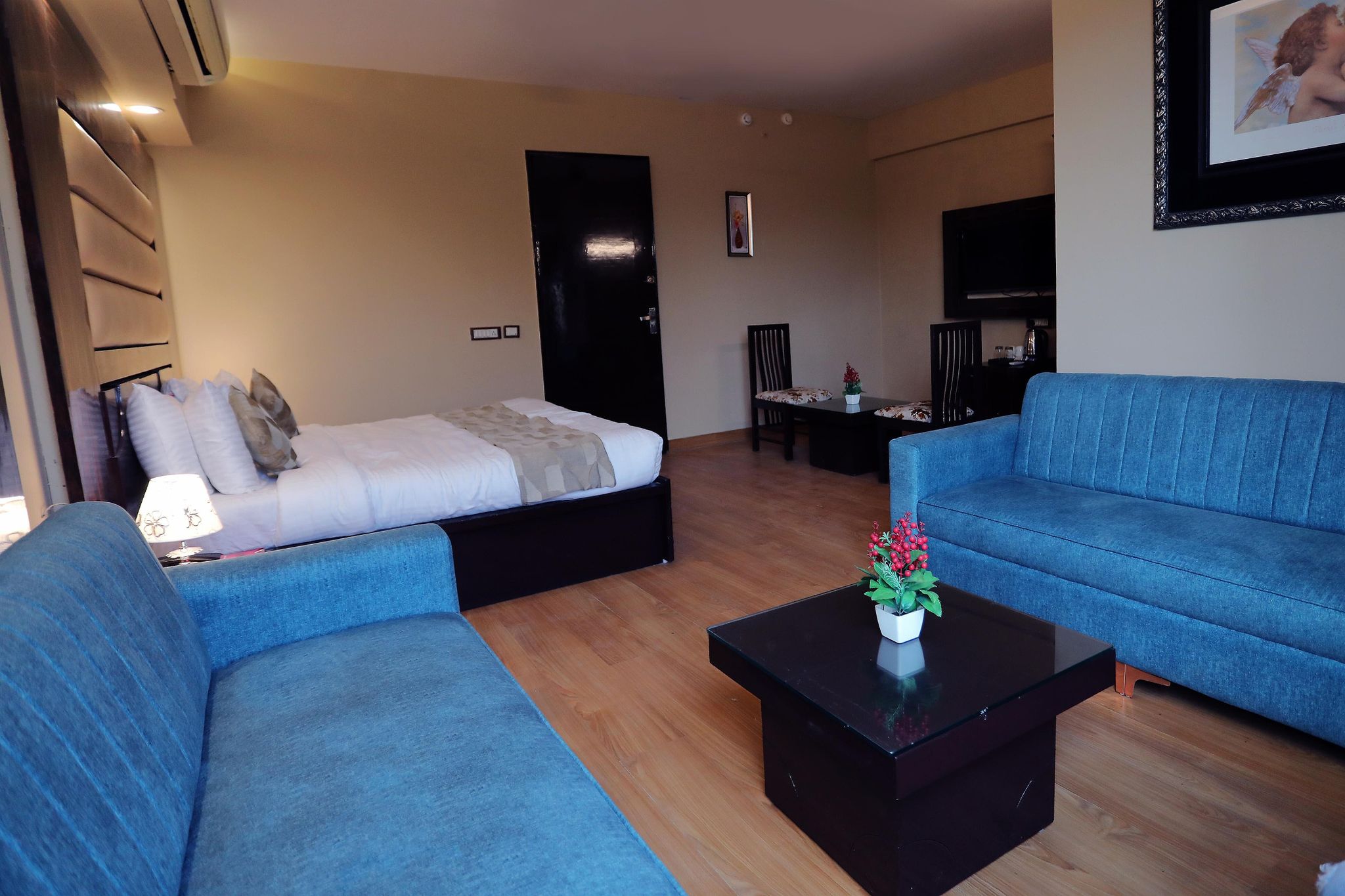 Hotel Palm Grand @ Naraina New Delhi Deluxe Double Room 7