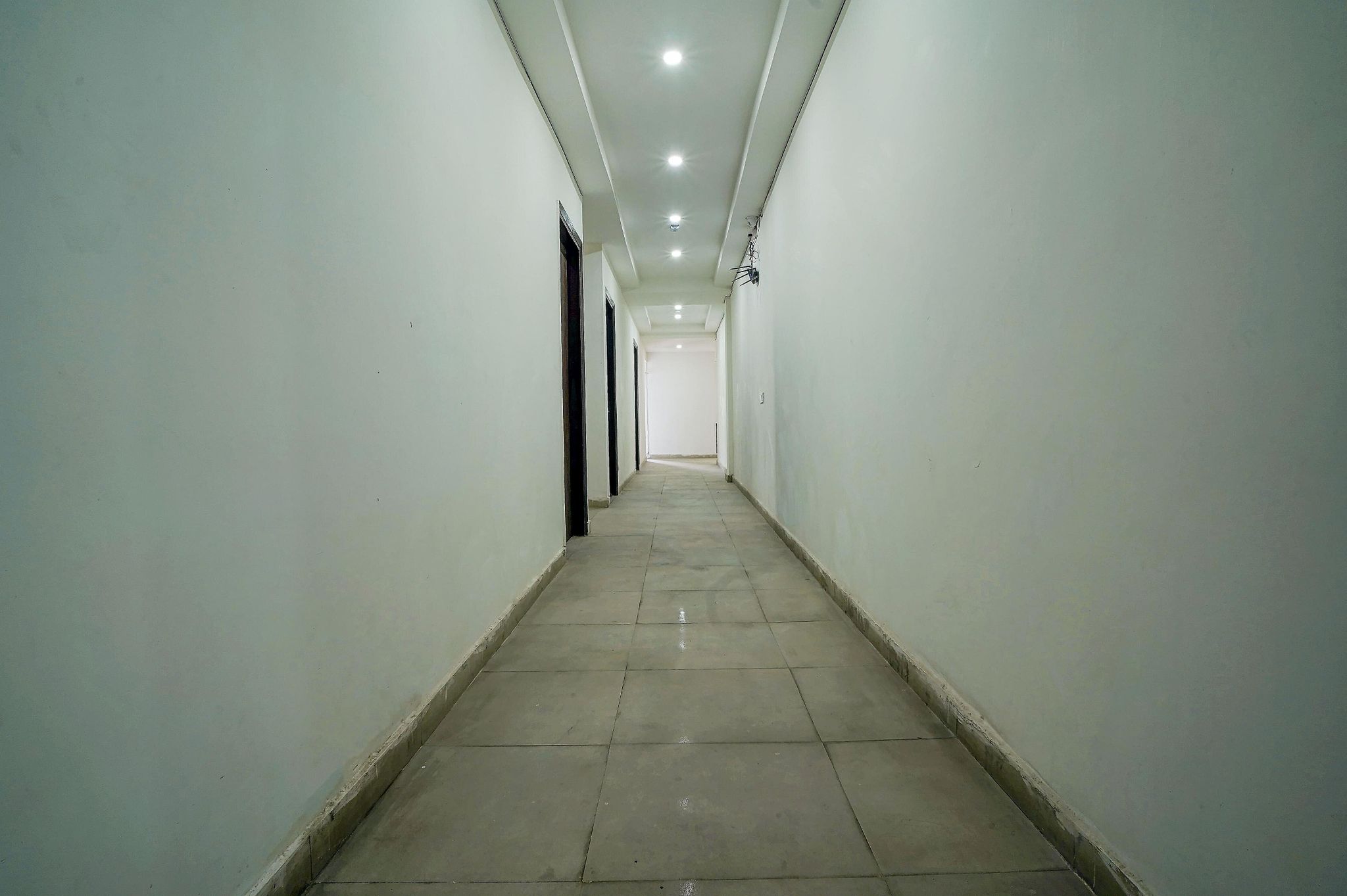 undefined Hotel Red Snapper  4